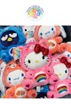 Care bears x Hello Kitty 彩虹熊 (3款)