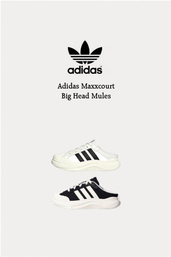Adidas Maxxcourt 大頭 厚底 穆勒鞋(2色)