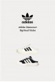 Adidas Maxxcourt 大頭 厚底 穆勒鞋(2色)