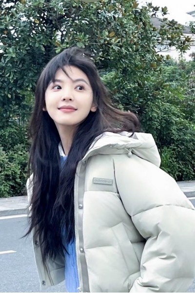 Adidas Originals Pul 羽絨外套