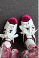 Adidas Superstar 2.0 白絲絨酒紅 Adidas Superstar 2.0 白絲絨酒紅