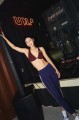 Adidas Originals Sport 運動 內衣 (2色)