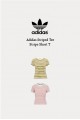 Adidas Striped Tee 條紋 短T (2色)